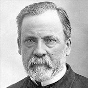 Luis Pastuer